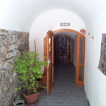 Pension Siesta Třeboň Екстериор снимка
